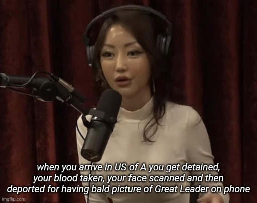 meme of Naomi Park saying "when you arrive in US of A you get detained, your blood taken, your face scanned and then deported for having bald picture of Great Leader on phone"
